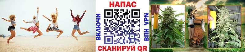 блэк спрут вход  Кяхта  Бошки марихуана план 